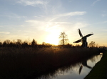 FZ024946 'De Trouwe Wachter' windmill at Tienhoven.jpg